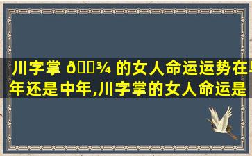 川字掌 🌾 的女人命运运势在早年还是中年,川字掌的女人命运是 🦁 不是很苦